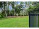View of backyard showing a spacious yard with mature landscaping and a fence line at 19351 Ranchview Ct, Land O Lakes, FL 34638