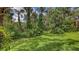 An expansive backyard featuring lush greenery and natural vegetation, perfect for outdoor enjoyment at 4511 Windsor Park, Sarasota, FL 34235