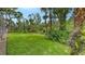 Lush green backyard surrounded by mature trees providing privacy and a beautiful view at 4511 Windsor Park, Sarasota, FL 34235