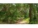 A serene hiking trail winding through a lush forest, offering a peaceful escape into nature at 4511 Windsor Park, Sarasota, FL 34235