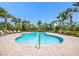 Beautiful community pool surrounded by tropical landscaping and lounge chairs for residents' enjoyment at 4617 Garden Arbor Way, Bradenton, FL 34203
