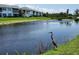 A blue heron standing lakeside adds to the peaceful ambiance of this waterfront condo community at 4832 Independence Dr, Bradenton, FL 34210