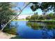 Scenic pond view with verdant trees and blue skies reflecting on the water at 4832 Independence Dr, Bradenton, FL 34210