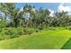 Well-manicured backyard with lush lawn and mature trees at 5307 65Th E Ter, Ellenton, FL 34222