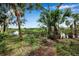 Scenic water view with lush greenery and serene atmosphere, a true nature lover's dream at 5935 River Forest Cir, Bradenton, FL 34203