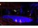 Night view of the tranquil backyard pool with underwater lighting and tropical landscaping at 1112 Montezuma Dr, Bradenton, FL 34209