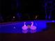 Backyard pool at night with colorfully illuminated floaties at 1112 Montezuma Dr, Bradenton, FL 34209