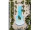 Aerial view of a long, beautifully landscaped pool with palm trees and lounge chairs at 11434 Spring Gate Trl, Bradenton, FL 34211