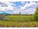 Spacious fenced dog park with lush green grass, mature trees, and shade at 2565 Star Apple Way, Sarasota, FL 34240