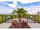 Fenced dog park for large and small dogs with a small palm tree providing shade at 2565 Star Apple Way, Sarasota, FL 34240