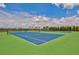 Community tennis court featuring a blue surface, green border, and well-maintained net and surroundings at 2565 Star Apple Way, Sarasota, FL 34240