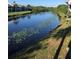 A view of a pond with lily pads, and community buildings in the background at 2636 Hidden Lake N Dr # G, Sarasota, FL 34237