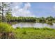 Peaceful view of a tree-lined pond with natural landscaping, offering a serene escape at 3045 Logue Rd, Myakka City, FL 34251