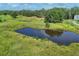 Scenic aerial view of a pond, surrounded by lush green fields and trees, reflecting the blue sky at 3045 Logue Rd, Myakka City, FL 34251