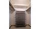 Walk-in closet with wire shelving for optimal storage and organization at 3804 65Th E St, Bradenton, FL 34208