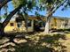 Backyard with ample space and mature trees at 5615 Waneta Pl, Sarasota, FL 34231