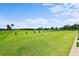 Expansive driving range featuring individual hitting stations and a meticulously kept green at 6507 Stone River Rd # 304, Bradenton, FL 34203