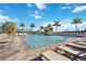 Resort-style community swimming pool complete with ample lounge chairs and towering palm trees at 13805 Posada St, Venice, FL 34293