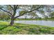Scenic view of the lake from the backyard featuring beautiful, mature trees and a fountain in the water at 1677 Fleetwood Dr, Sarasota, FL 34232