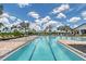 Gorgeous lap pool with lounge chairs and cabanas surrounded by beautiful palms and landscaping at 17817 Pastureland Ave, Lakewood Ranch, FL 34211