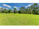 A vast, well-maintained backyard with lush green grass and mature trees around at 20207 71St E Ave, Bradenton, FL 34211