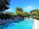 Beautiful community pool with lounge chairs and lush landscaping at 2155 Wood St # A26, Sarasota, FL 34237