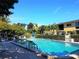 Sparkling community pool with lounge chairs, palm trees and exterior views at 2155 Wood St # A26, Sarasota, FL 34237