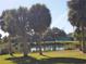 Picturesque lake view surrounded by lush palm trees and greenery, creating a serene and inviting outdoor space at 2155 Wood St # A26, Sarasota, FL 34237