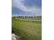 View from window of lush green backyard at 24803 Buckingham Way, Port Charlotte, FL 33980
