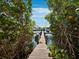 Picturesque view of a private wooden dock surrounded by mangrove trees, offering waterfront access at 3959 Somerset Dr # 5, Sarasota, FL 34242