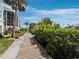 Scenic wooden walkway lined with vibrant greenery, enhancing the property's natural beauty at 3959 Somerset Dr # 5, Sarasota, FL 34242