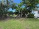 Scenic yard with a mix of trees and greenery surrounding a cozy home at 4845 Boca Raton Ave, Sarasota, FL 34234