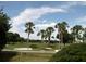 Scenic golf course view with palm trees and blue sky at 5449 Downham Mdws, Sarasota, FL 34235