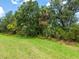 Lush green backyard with mature trees and colorful landscaping at 6851 Bay Hill Dr, Lakewood Ranch, FL 34202
