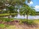A serene pond with a bench and palm trees creates a tranquil setting, perfect for relaxation and enjoying nature at 6851 Bay Hill Dr, Lakewood Ranch, FL 34202