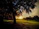 Sunset view over the lush green golf course, lined with trees at 6908 Stoneywalk Ct, Bradenton, FL 34203