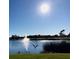 Scenic pond view featuring a fountain and wildlife, set against a clear blue sky at 6908 Stoneywalk Ct, Bradenton, FL 34203