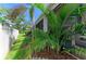 Side view of the backyard with palm trees, green grass and a white fence at 8676 Ice Wine St, Sarasota, FL 34238
