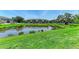 Serene pond surrounded by lush green grass and trees in a well-maintained community at 8676 Ice Wine St, Sarasota, FL 34238