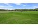 Scenic view of a golf course with well-maintained green grass and trees in the distance at 8924 Misty Creek Dr, Sarasota, FL 34241