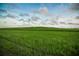 Vast green field stretches to the horizon under a partially cloudy sky at 8924 Misty Creek Dr, Sarasota, FL 34241