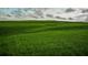 Expansive green field with rolling hills under a cloudy sky at 8924 Misty Creek Dr, Sarasota, FL 34241