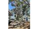 Beautiful Banyan tree with bike racks near a sidewalk, on a sunny day in Venice Florida at 1060 Cockrill St # 1060, Venice, FL 34285