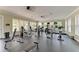 Spacious fitness center with modern exercise equipment and ample natural light from large windows at 10609 Great Cormorant Dr, Riverview, FL 33579