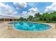 Beautiful outdoor pool featuring clear blue water, comfortable seating, and lush surrounding greenery at 10609 Great Cormorant Dr, Riverview, FL 33579