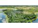 Aerial view of a green wooded area, lake, and community homes in the distance at 11685 Great Brook Ln, Parrish, FL 34219