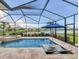 Inviting pool with built-in sun loungers, a spa, and a screened-in lanai, perfect for outdoor living at 12564 Night View Dr, Sarasota, FL 34238