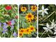 Close up of colorful flowering plants and greenery in a garden on the property's grounds at 413 Partridge Cir, Sarasota, FL 34236