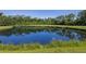 Scenic view of a tranquil pond reflecting the surrounding lush greenery and blue sky in a peaceful community setting at 7419 Birds Eye Ter, Bradenton, FL 34203