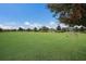 A soccer field and a large open recreational field that is ideal for sports and outdoor activities at 8985 Royal River Cir, Parrish, FL 34219